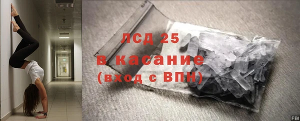 прущие грибы Костерёво