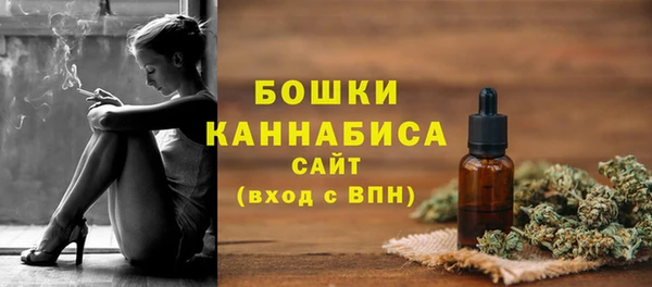 прущие грибы Костерёво