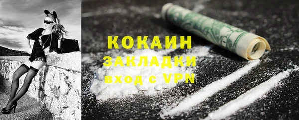 прущие грибы Костерёво