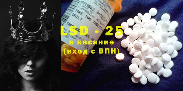 прущие грибы Костерёво