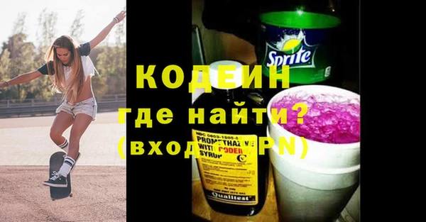 прущие грибы Костерёво